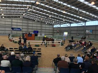 Five Year Sale Topper for South Island Sale